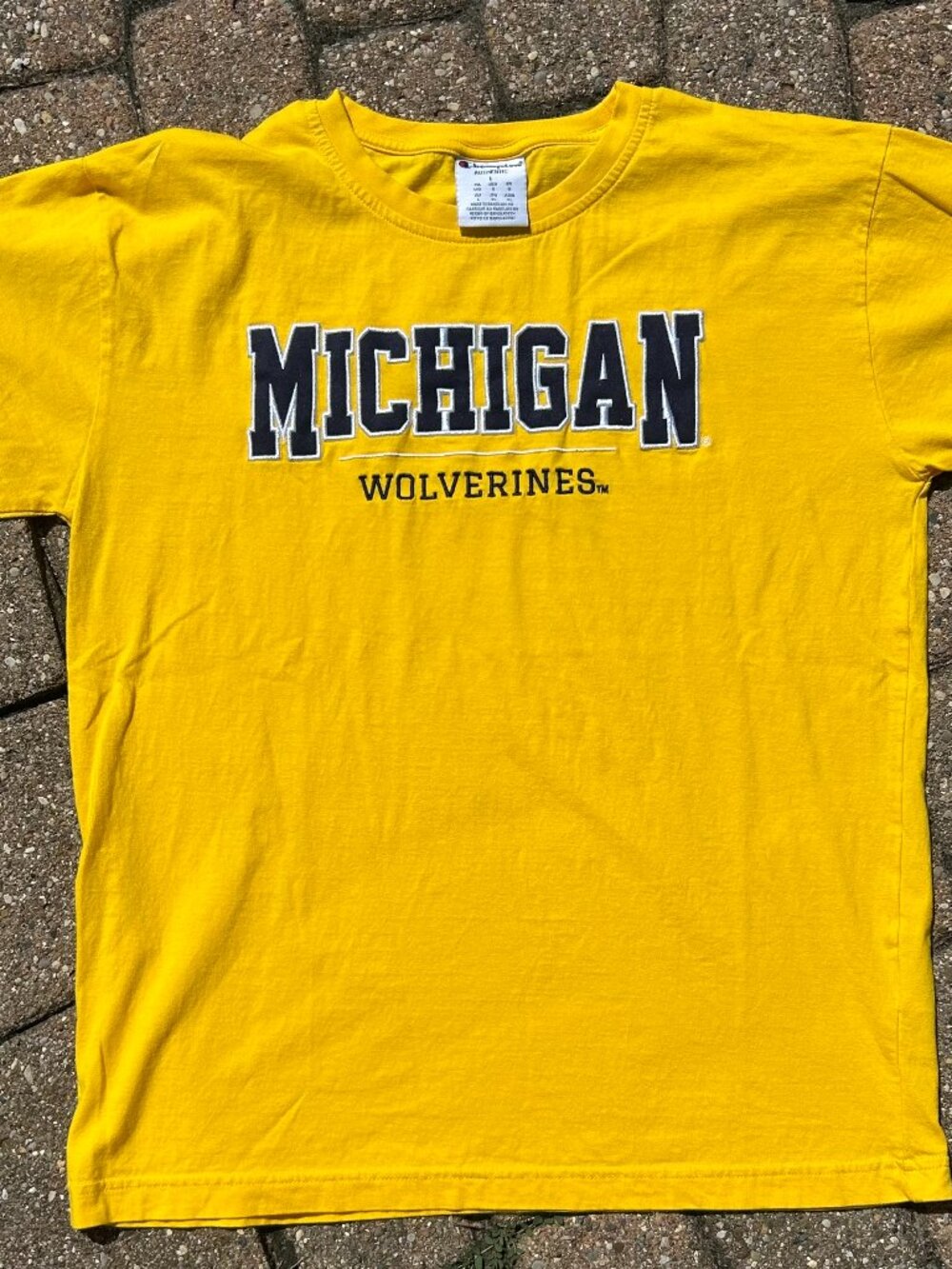 Embroidered University of Michigan T-Shirt Champion Brand Size Large
